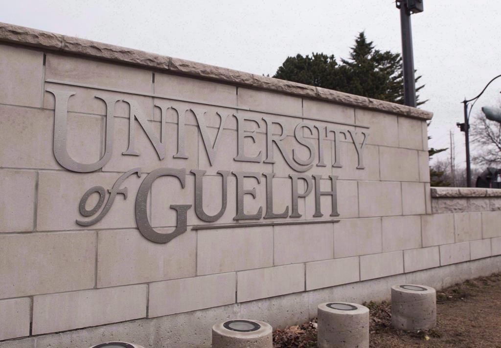 The University of Guelph in Guelph, Ont., is shown on Friday, March 24, 2017. 